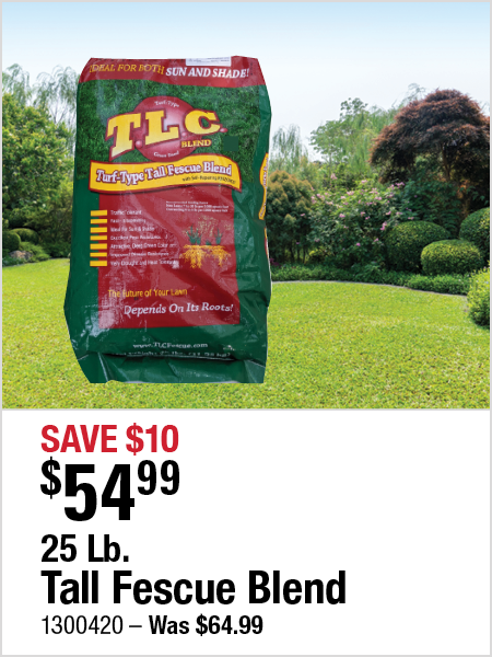 25 Lb. Tall Fescue Blend